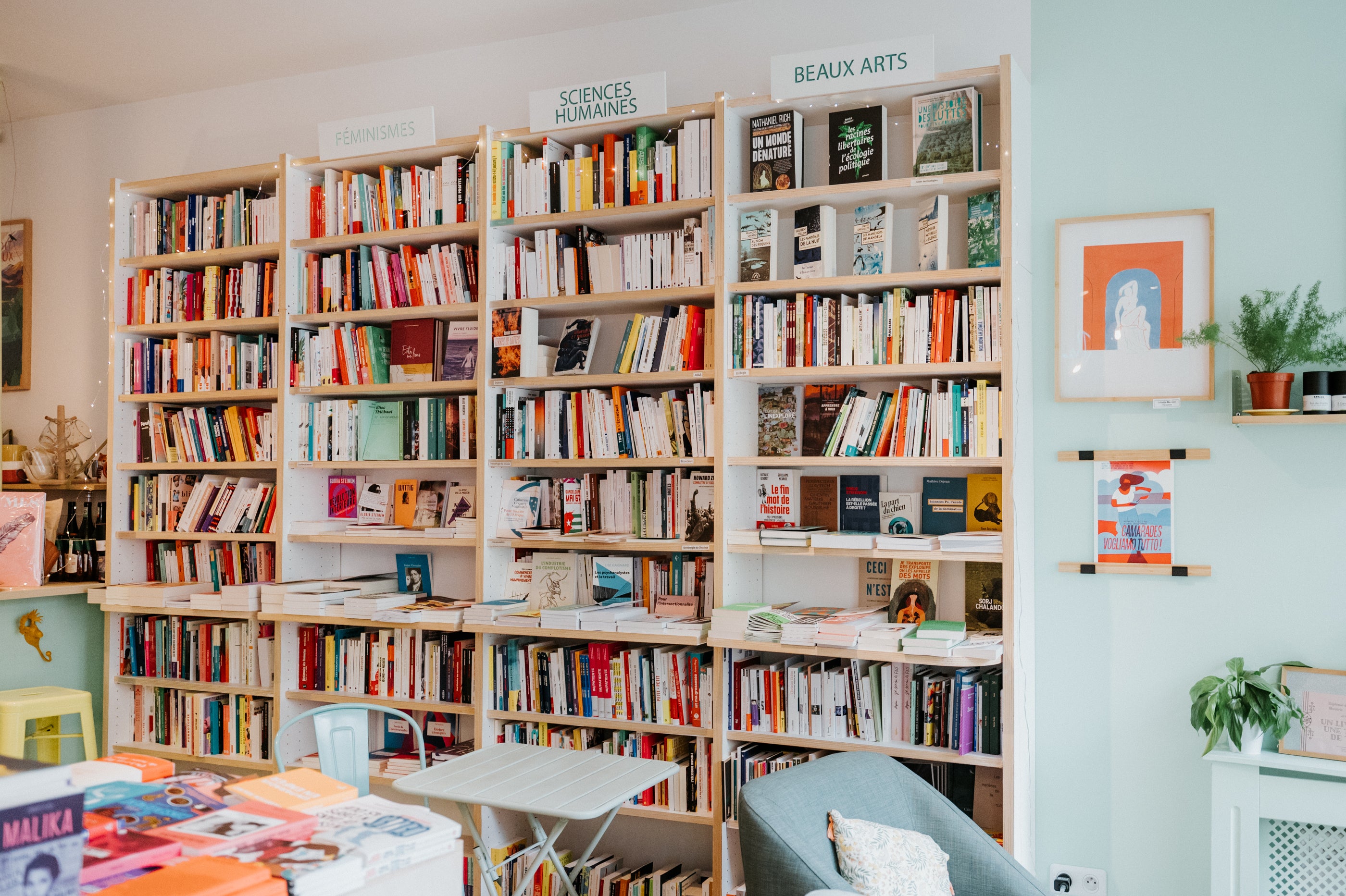 photo rayons livres féministes