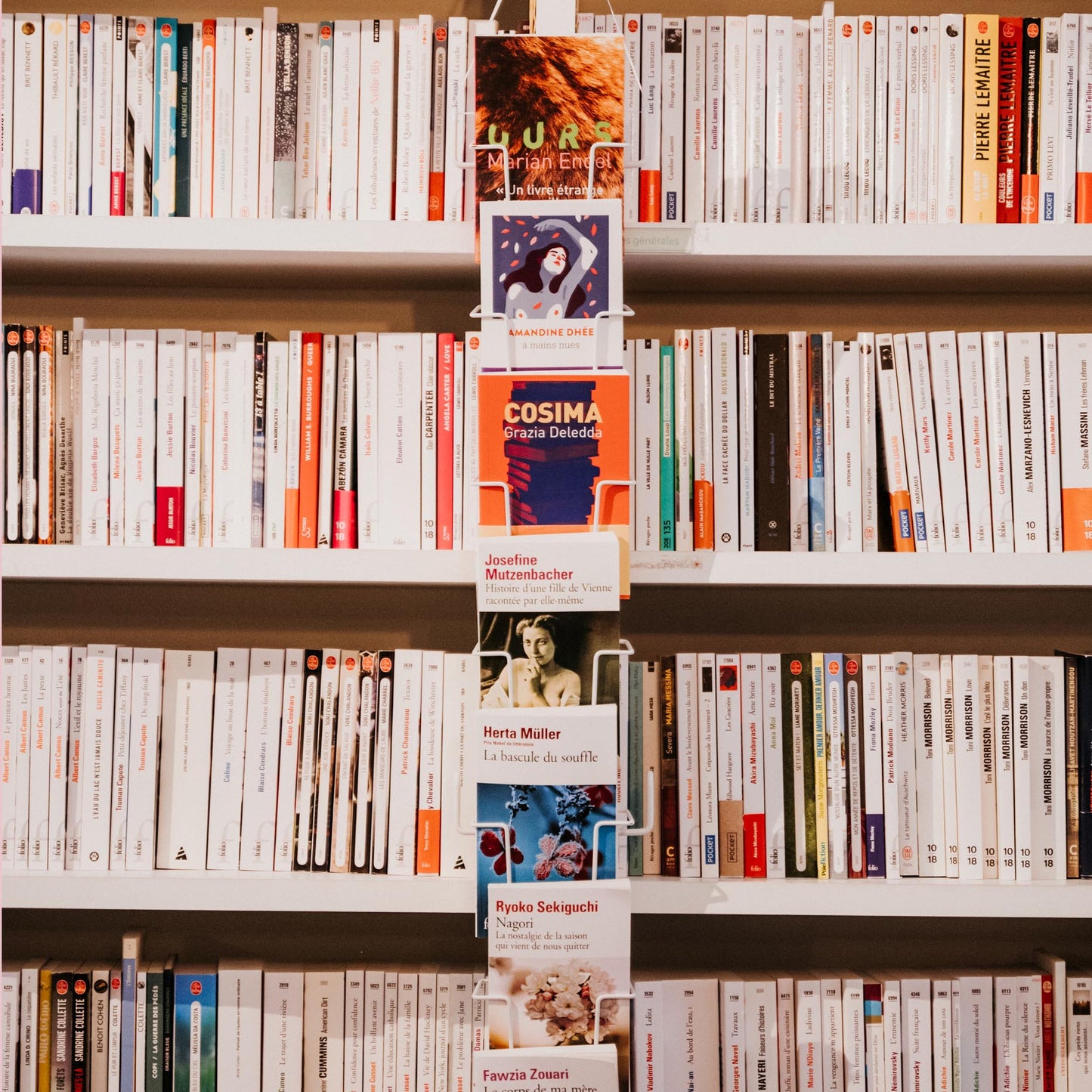 Atelier d'écriture "une naissance" - 15/06