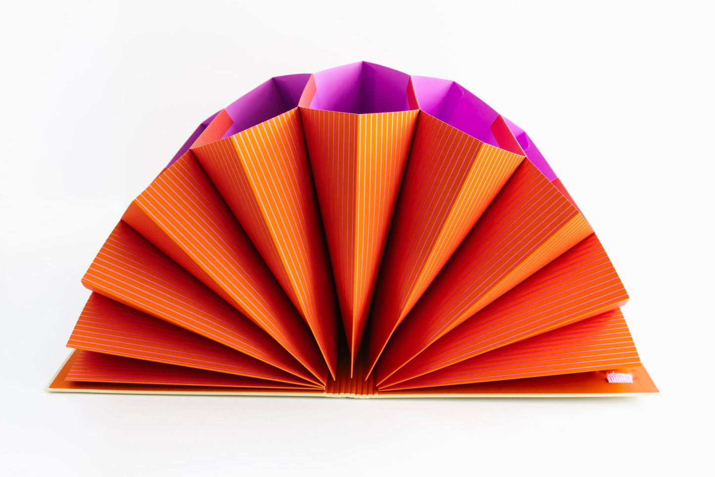 Classeur accordéon - A stationery