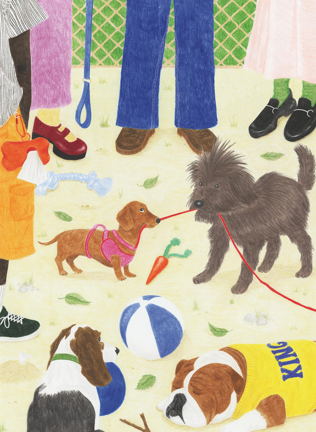 Jour Ferie - Sortir le chien