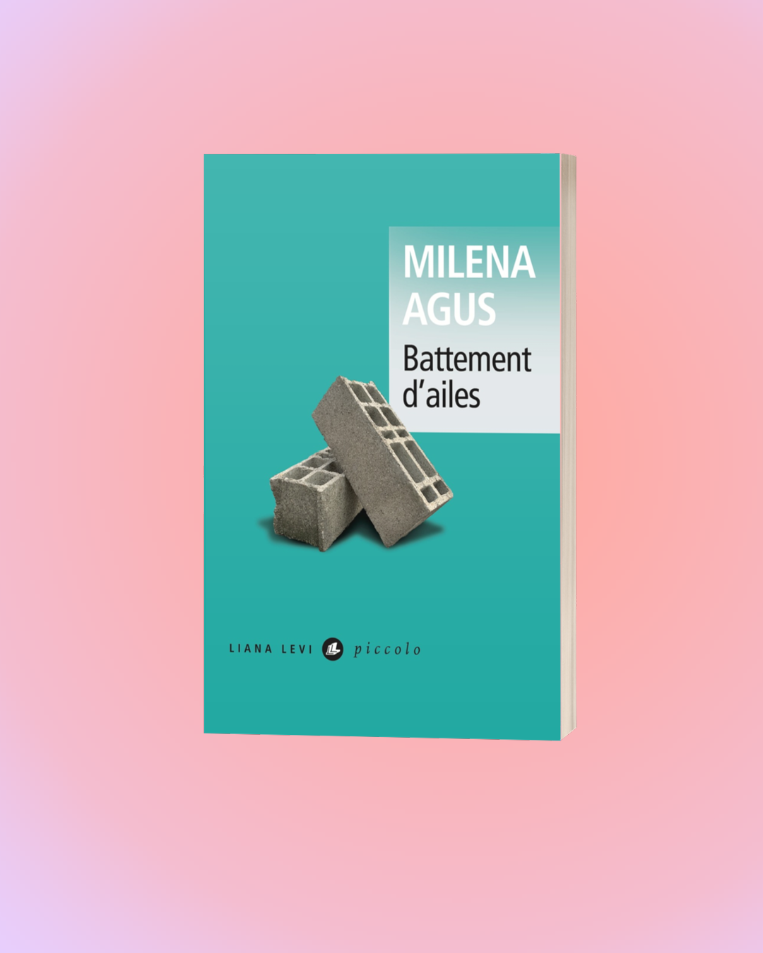 Box féministe petit format (abonnement mensuel)