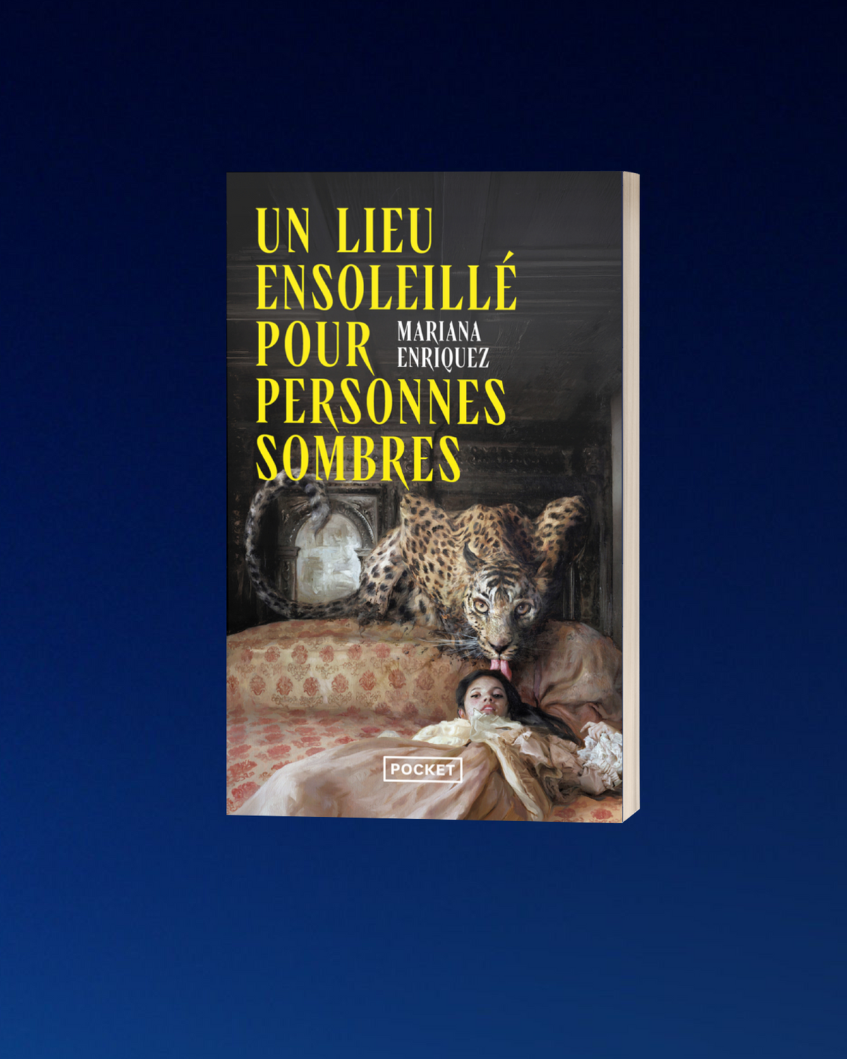 Box féministe petit format (abonnement mensuel)