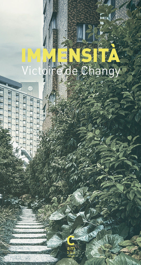 Rencontre avec Victoire de Changy - "Immensita"
